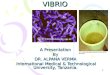 2 pp vibrio
