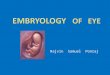 Embryology of Eye