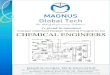 Magnus Process Design & Equipment Design
