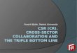 CSR, triple-bottom line and cross sector collaboration