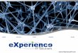 Spanish Company 'eXperience' portfolio.2013 - english