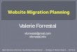 Website Migration Planning