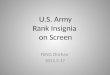 U.S. Army Rank Insignia on Screen