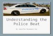 Understanding the Police Beat