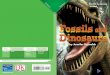 Fossils and Dinosaurs