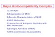 7 mhc major histocompatibility complex