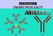 What are Antibodies? Types of Antibodies