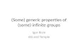 Generic properties of infinite groups