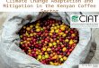 A Eitzinger - Climate Change Adaptation and Mitigation in the Kenyan Coffee Sector