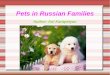 Pets in russian families