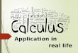 Calculus in real life
