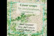 Cover crops for corn/soybean rotations