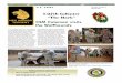 1-27 IN Wolfhound March Newsletter