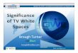 The Significance of TV White Spaces