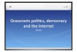 Mac309 Grassroots Democracy & the  Internet