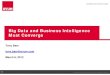 TDWI NYC Chapter - Tony Baer Ovum on Big data, Data quality, and BI Convergence