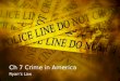 Ch 7 crime in america