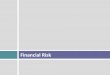 Financial risk pdf