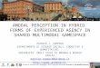 Amodal Perception in Hybrid Forms of Experienced Agency in Shared Multimodal Gamespace