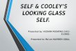Self & cooley’s looking glass self