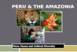 Peru & The Amazonia Preview