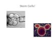 Stem cells!