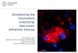 Kneusel - Neuroinflammation
