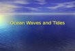Naturalists at Large: Marine waves tides