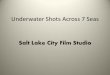 Underwater shots across 7 seas