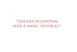 Diseases of external nose