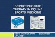 Bisphosphonate Therapy in Horses