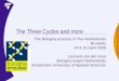 Brussels Training Seminar 3  Cycles Leonard Van Der Hout