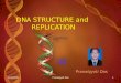 Structure & Replication of DNA