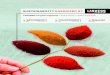 Sustainability brochure lanxess inorganic pigments