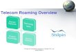 Telecom Roaming Overview