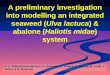 A preliminary investigation into modelling an integrated seaweed (Ulva lactuca) & abalone (Haliotis midae) system