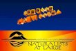 Mono Lake - Eastern Sierra: Naturalists at Large