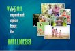 Vital Wellness Presentation Pp2007