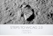Steps to WCAG 2.0