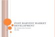 Post Harvest Market Development