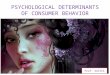 Lecture 4   psychological determinants of consumer behavior