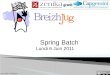 Breizhjug spring batch 2011