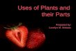 Uses Of Plants, Care For Plants