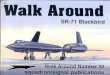 SR-71 Blackbird [Walk Around 32]