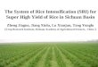 0632  "The System of Rice Intensification (SRI) for