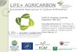 Sustainable agriculture in carbon arithmetics. Emilio González Sanchez