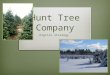 Hunt tree company digital media strategy presentation g