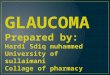 Glaucoma   2011
