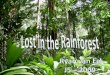 Ryan Lost In Rainforest
