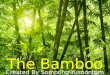 The bamboo (nice story)